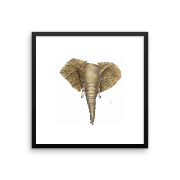 Elephant - II