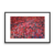 Flowers - I