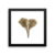 Elephant - II