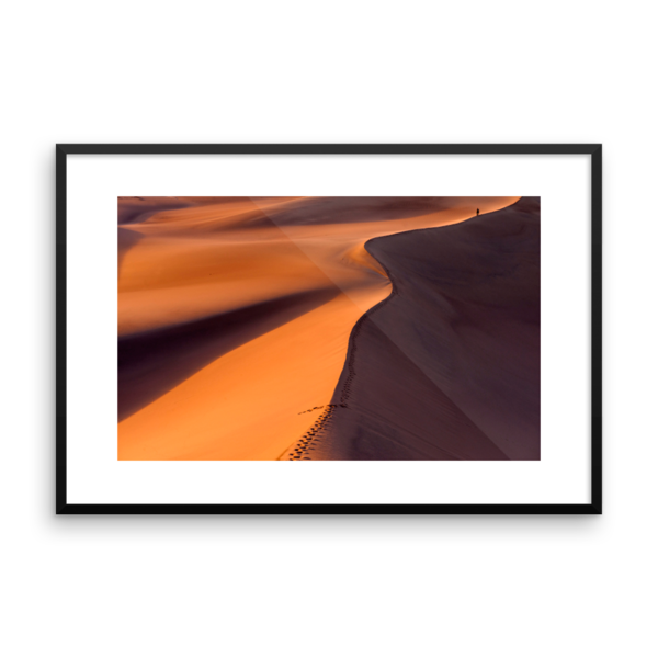 Desertwalk