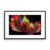 Fractal Artworks - IV
