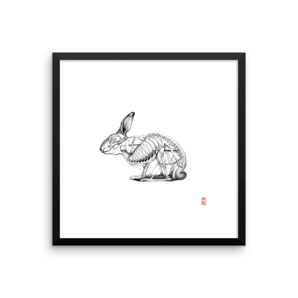 Chinese Zodiac - VIII