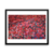Flowers - I