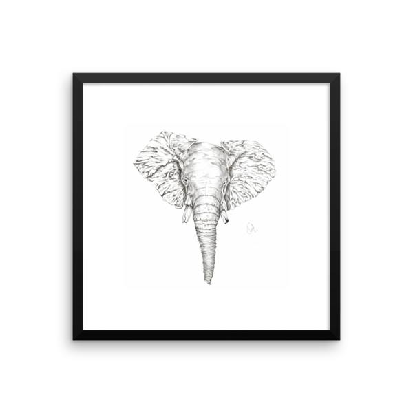 Elephant - I